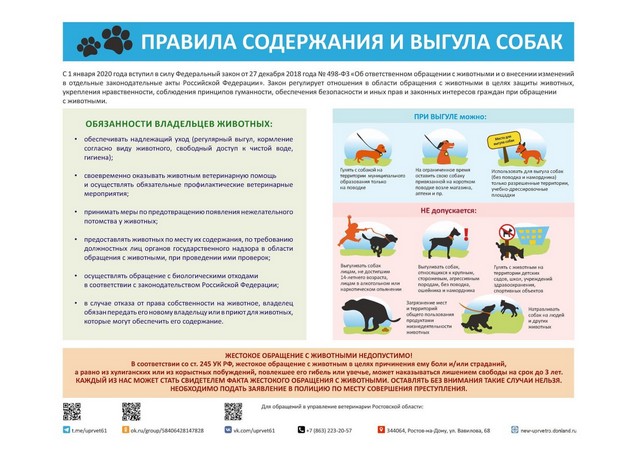 Правила содержания и выгула домашних животных