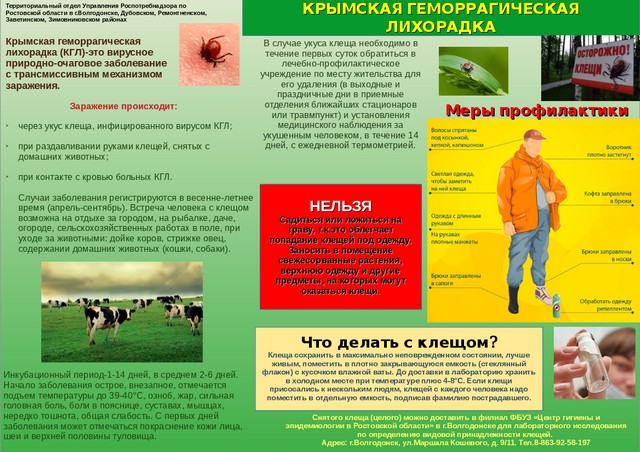 foto 2025 08 11 13 30 001