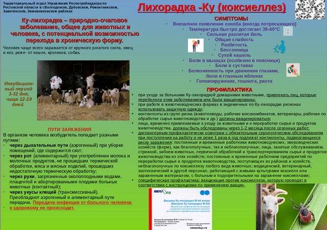 foto 2025 08 11 13 30 002